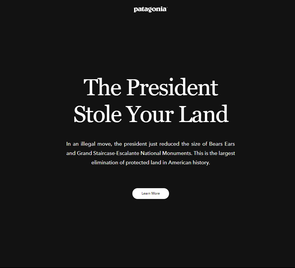 patagonia website down